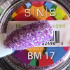 SNS Nails BM17