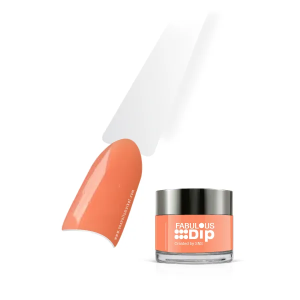 Fabulous Dip Basics PT29